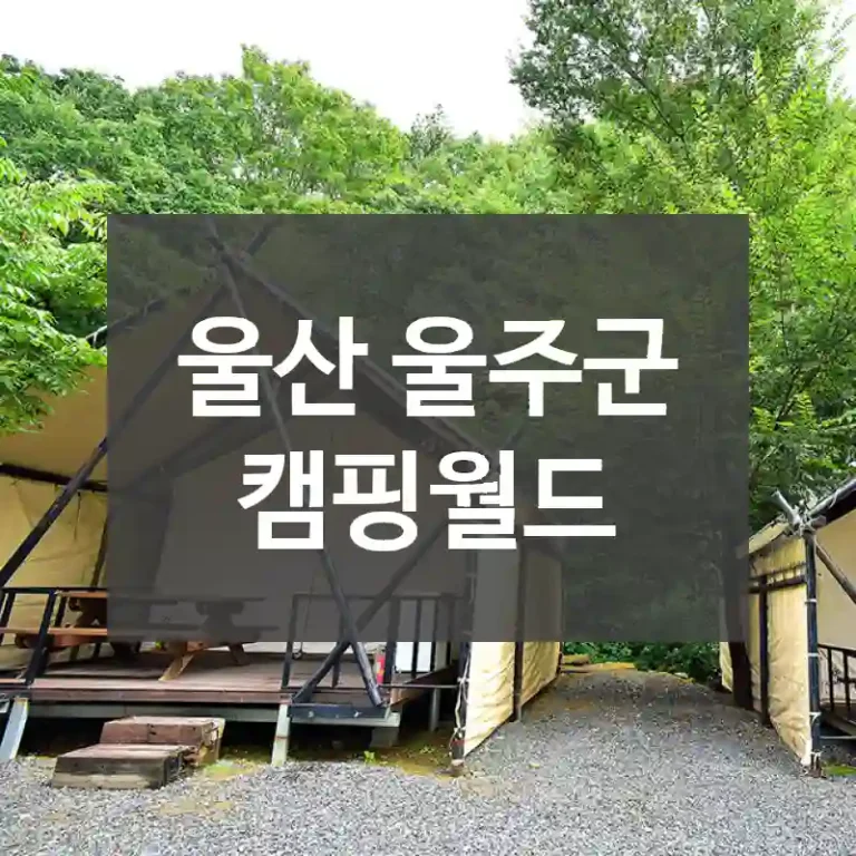 울산 울주군
캠핑월드