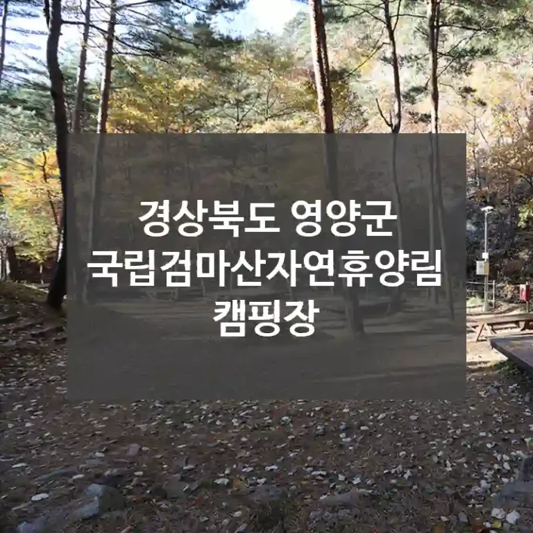 경상북도 영양군
국립검마산자연휴양림캠핑장
