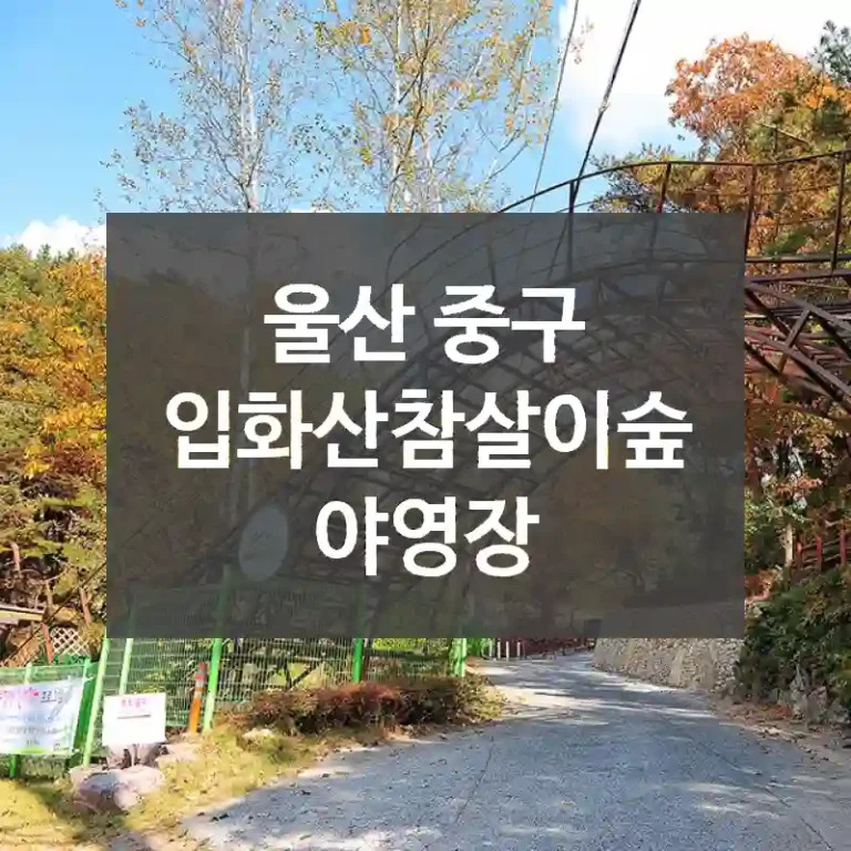 울산 중구
입화산참살이숲야영장