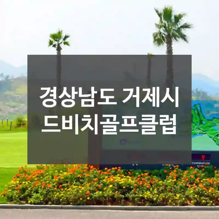 경상남도 거제시
드비치골프클럽