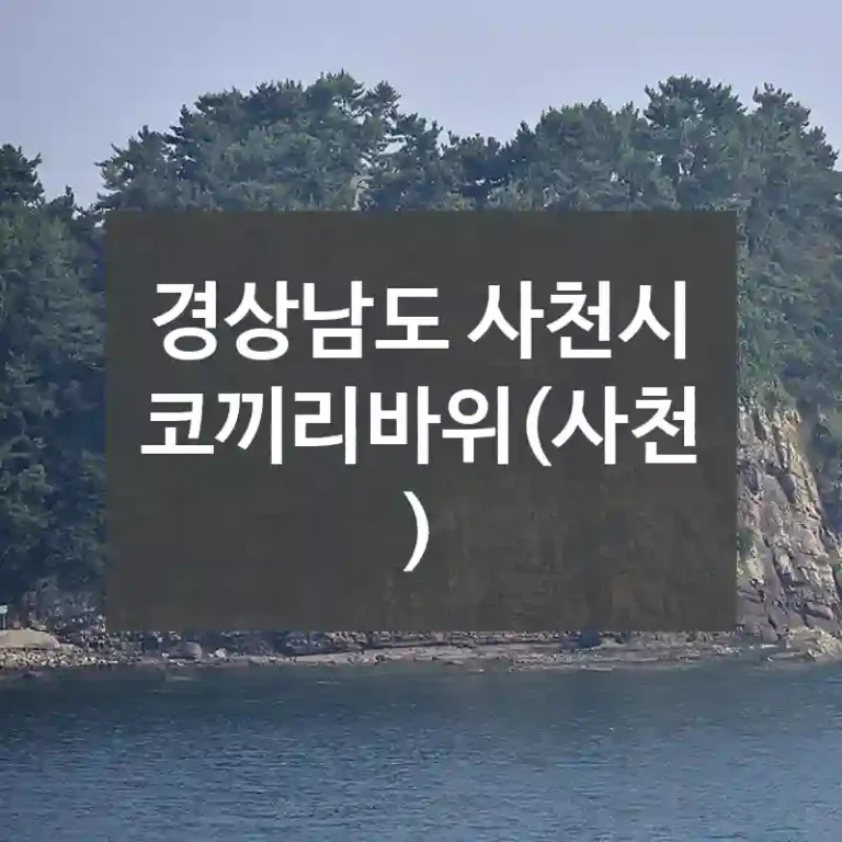 경상남도 사천시
코끼리바위(사천)