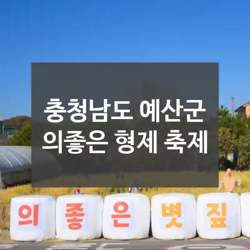 충청남도 예산군
의좋은 형제 축제