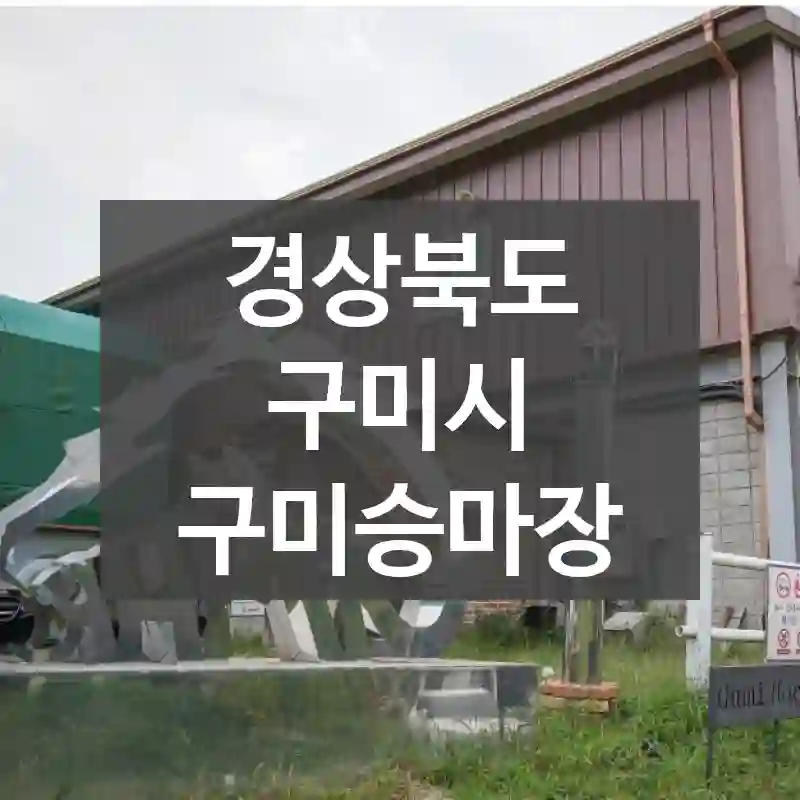 경상북도 구미시
구미승마장