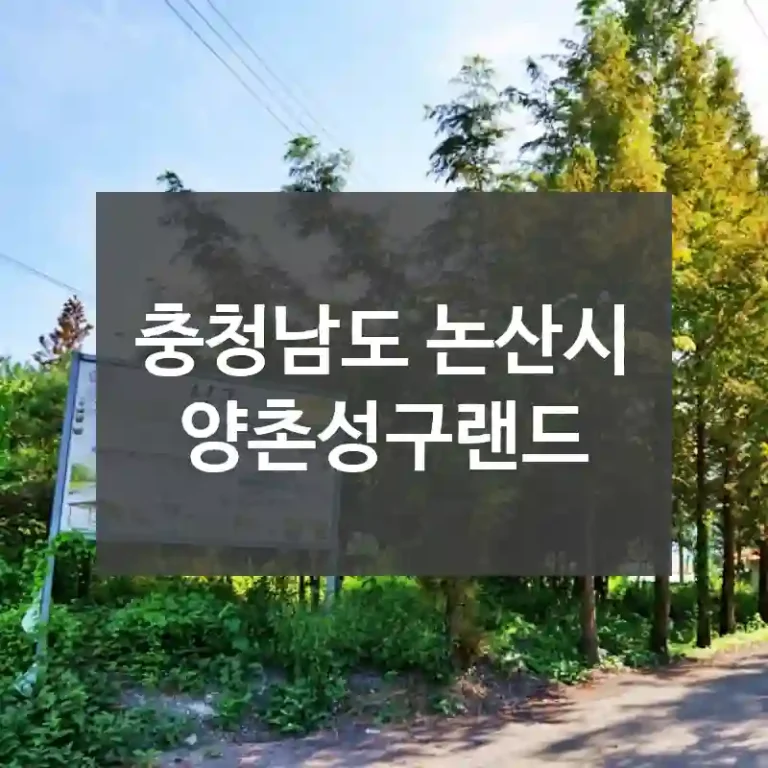 충청남도 논산시
양촌성구랜드