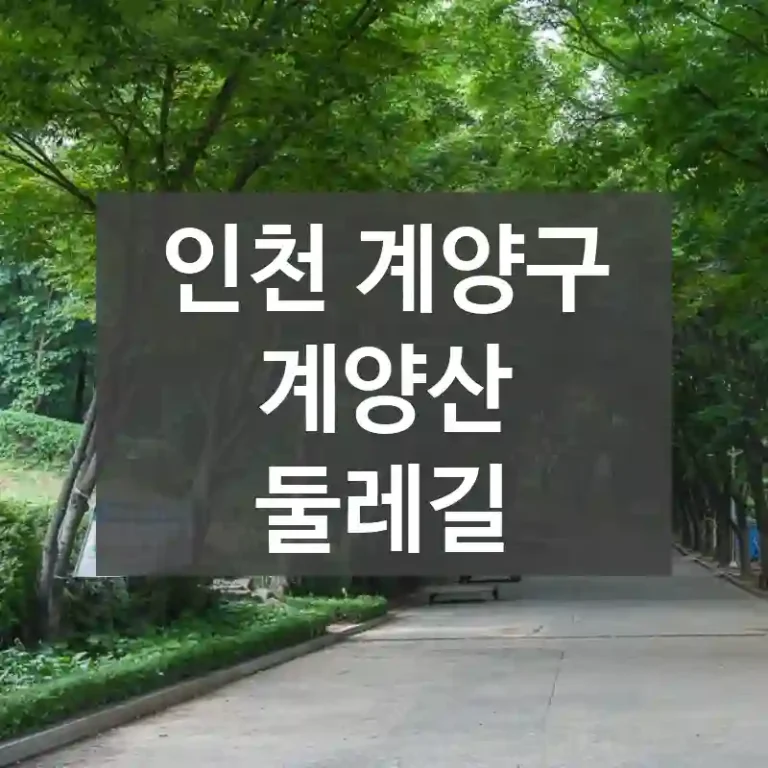 인천 계양구
계양산 둘레길