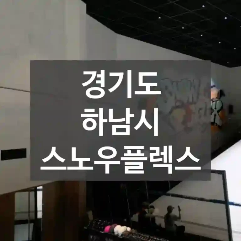 경기도 하남시
스노우플렉스