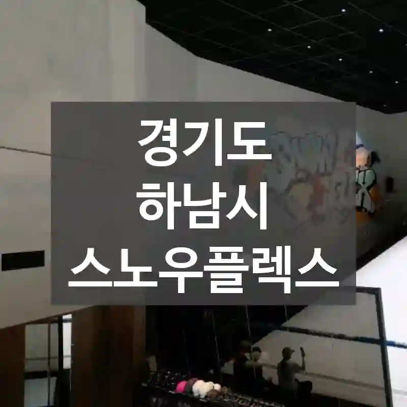 경기도 하남시
스노우플렉스