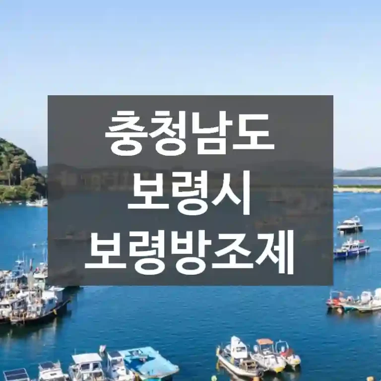 충청남도 보령시
보령방조제