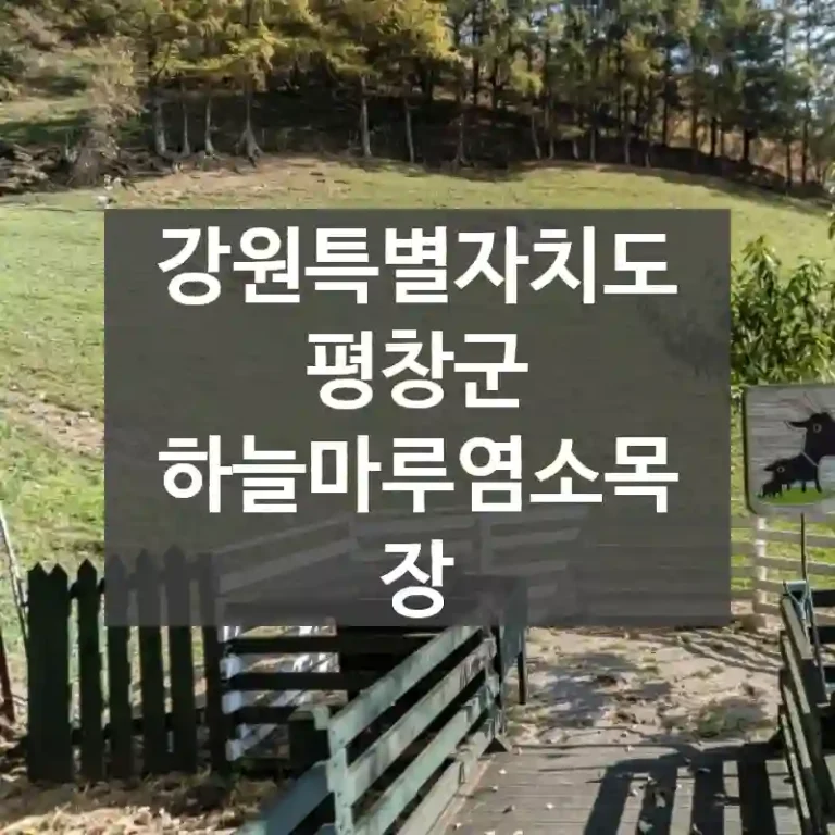 강원특별자치도 평창군
하늘마루염소목장