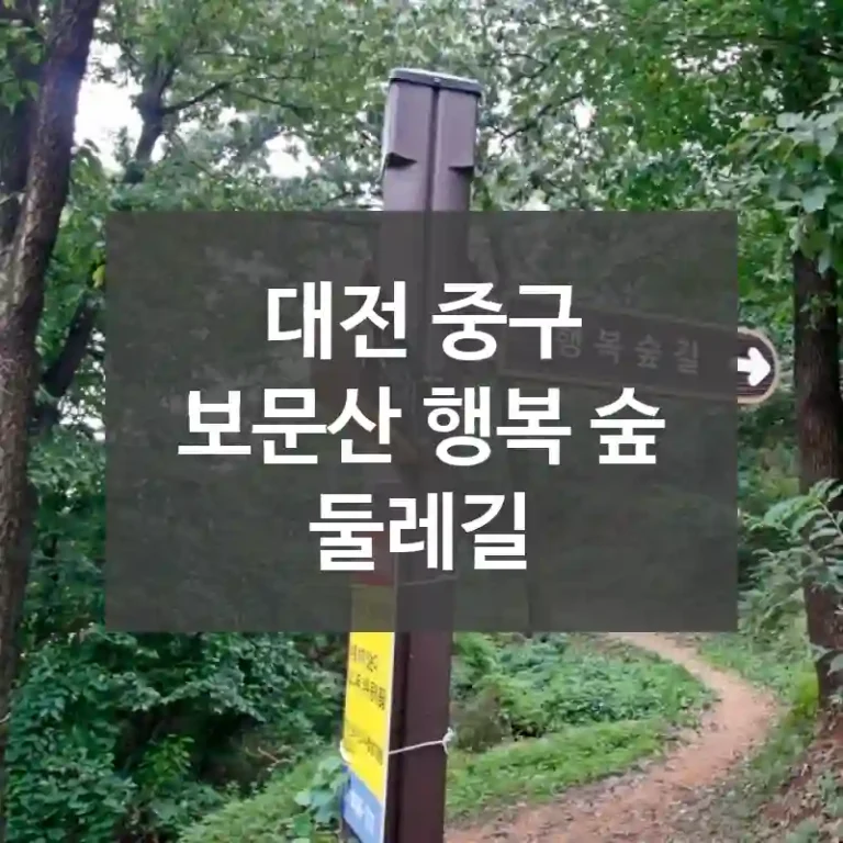 대전 중구
보문산 행복 숲 둘레길