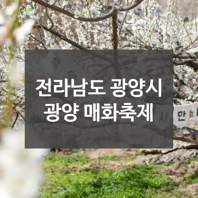 전라남도 광양시
광양 매화축제