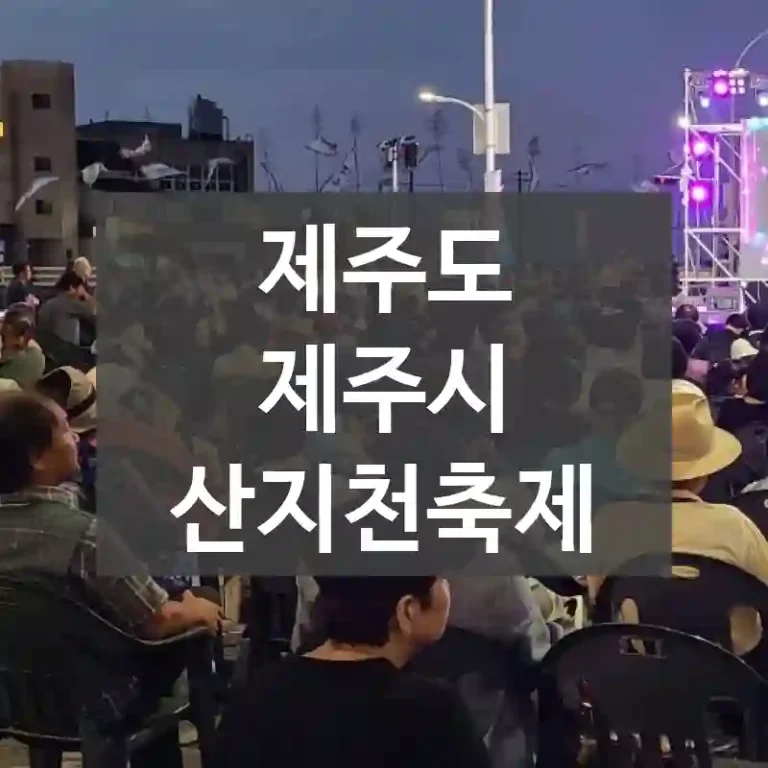 제주도 제주시
산지천축제