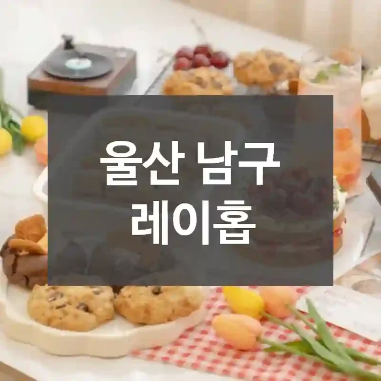 울산 남구
레이홉
