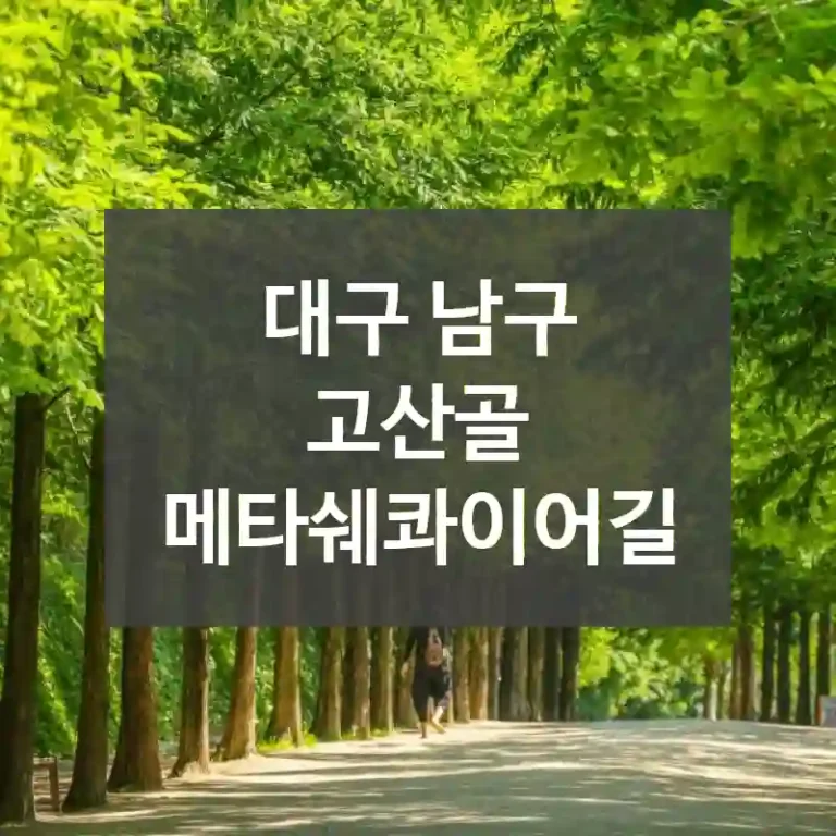 대구 남구
고산골 메타쉐콰이어길