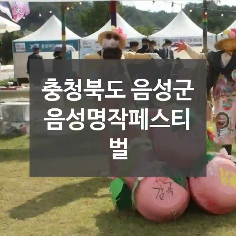 충청북도 음성군
음성명작페스티벌