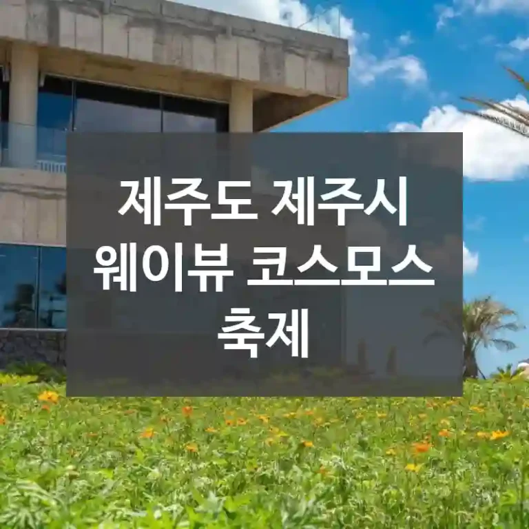제주도 제주시
웨이뷰 코스모스 축제