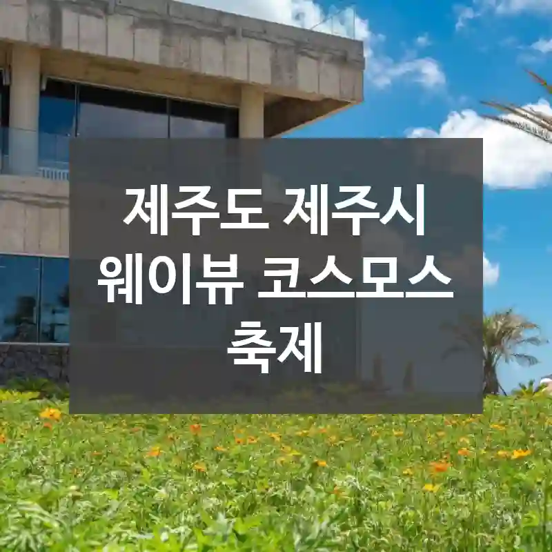 제주도 제주시
웨이뷰 코스모스 축제