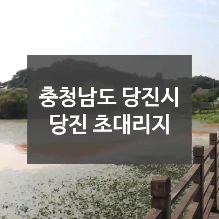 충청남도 당진시
당진 초대리지
