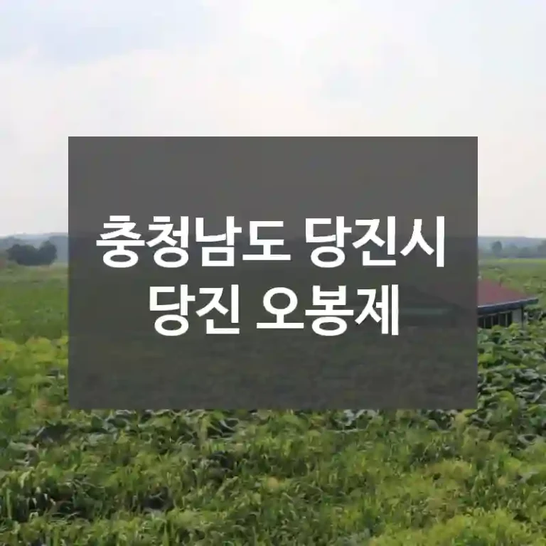 충청남도 당진시
당진 오봉제