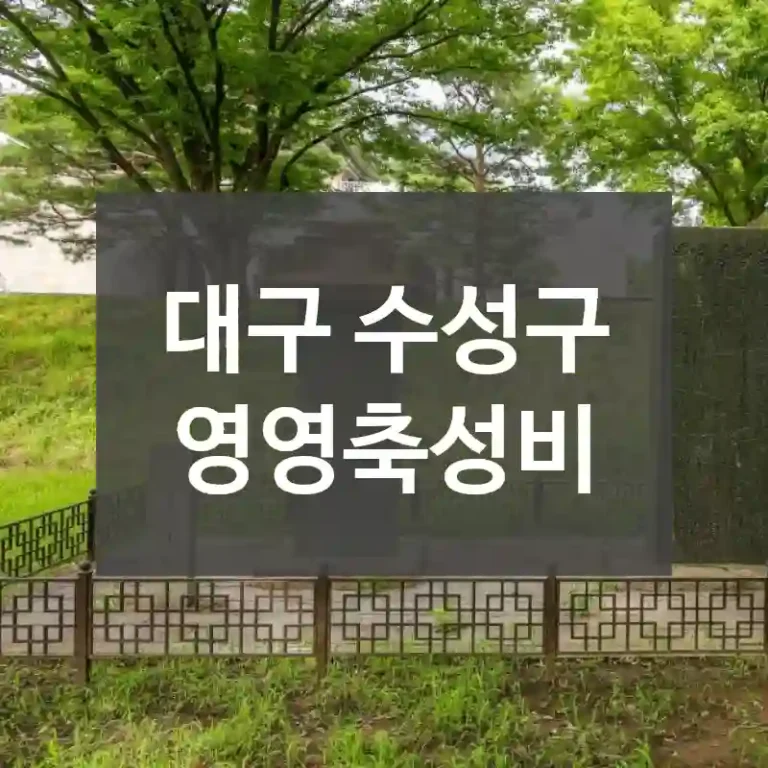 대구 수성구
영영축성비