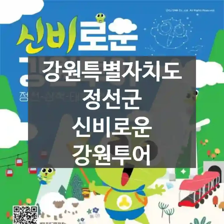 강원특별자치도 정선군
신비로운 강원투어