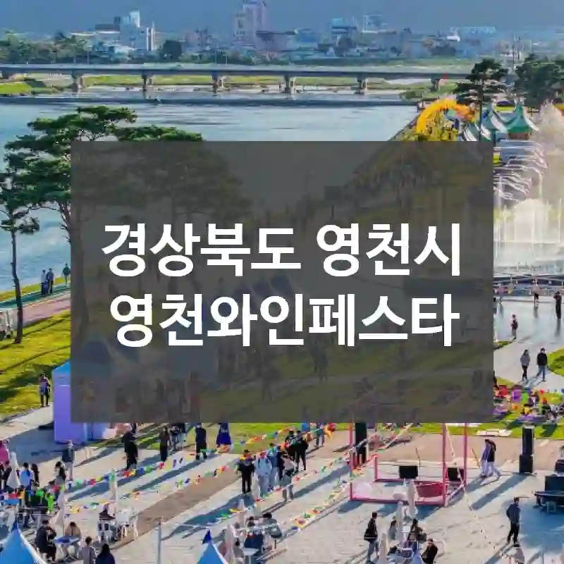 경상북도 영천시
영천와인페스타