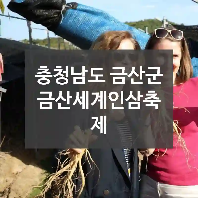충청남도 금산군
금산세계인삼축제