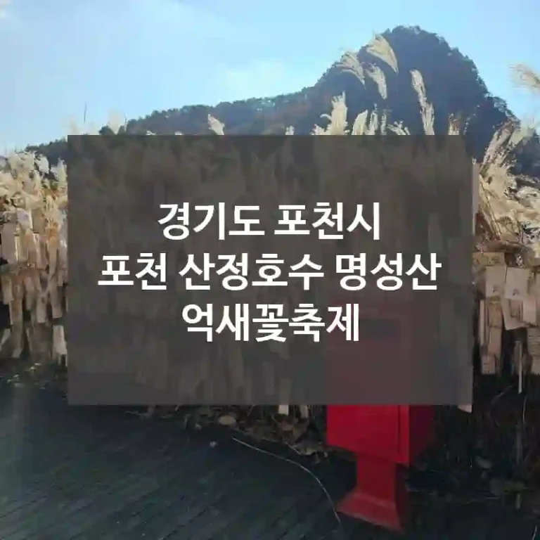 경기도 포천시
포천 산정호수 명성산 억새꽃축제