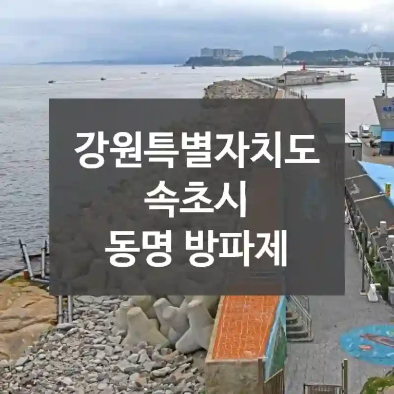 강원특별자치도 속초시
동명 방파제