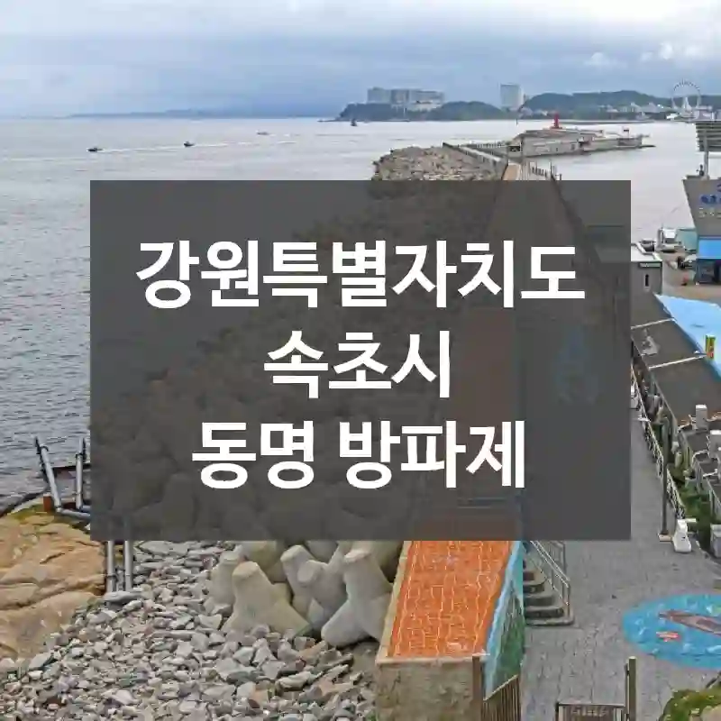 강원특별자치도 속초시
동명 방파제