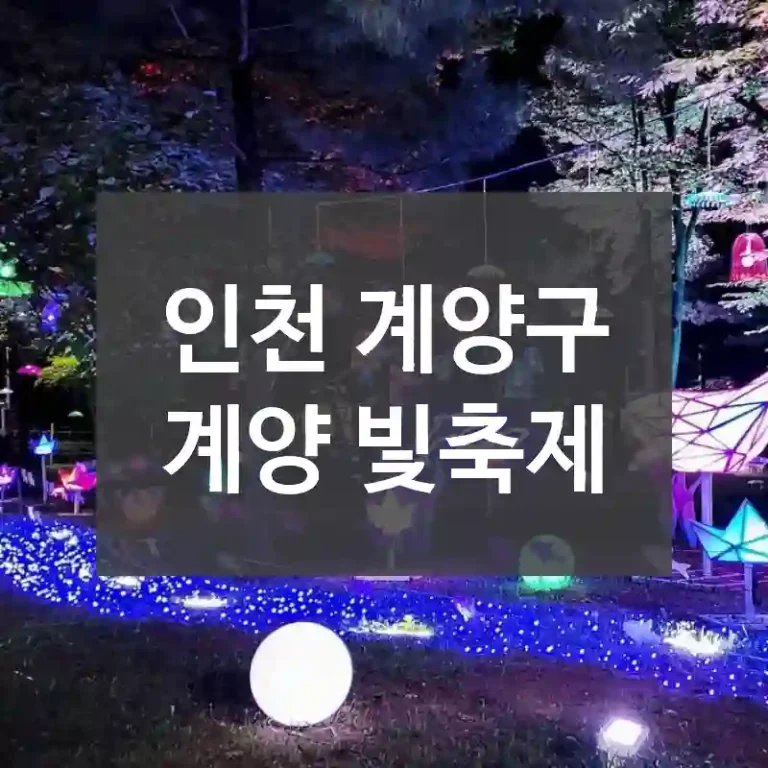 인천 계양구
계양 빛축제
