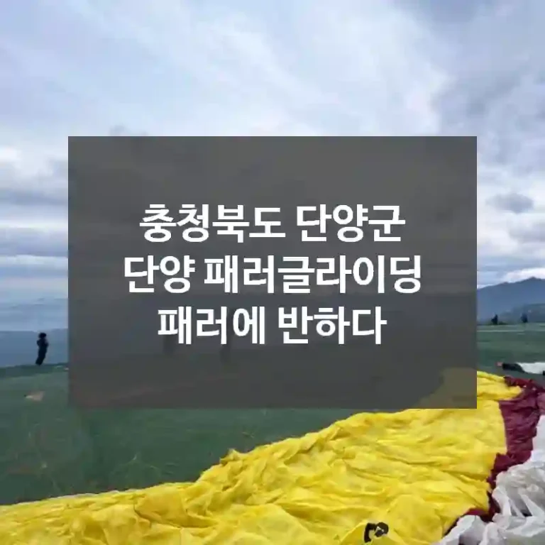 충청북도 단양군
단양 패러글라이딩 패러에 반하다