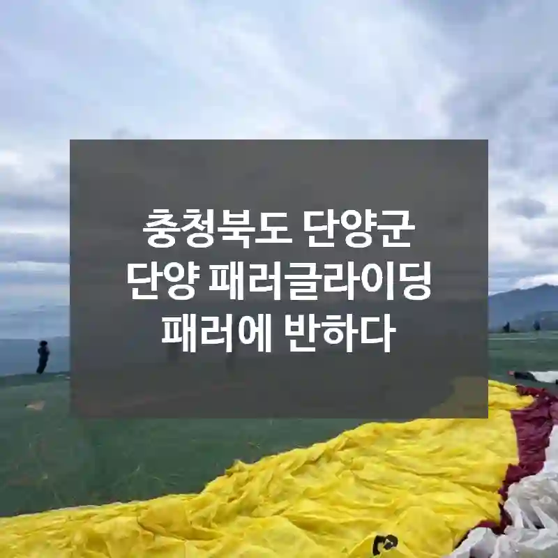 충청북도 단양군
단양 패러글라이딩 패러에 반하다