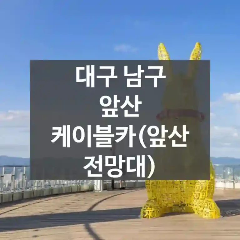 대구 남구
앞산 케이블카(앞산 전망대)