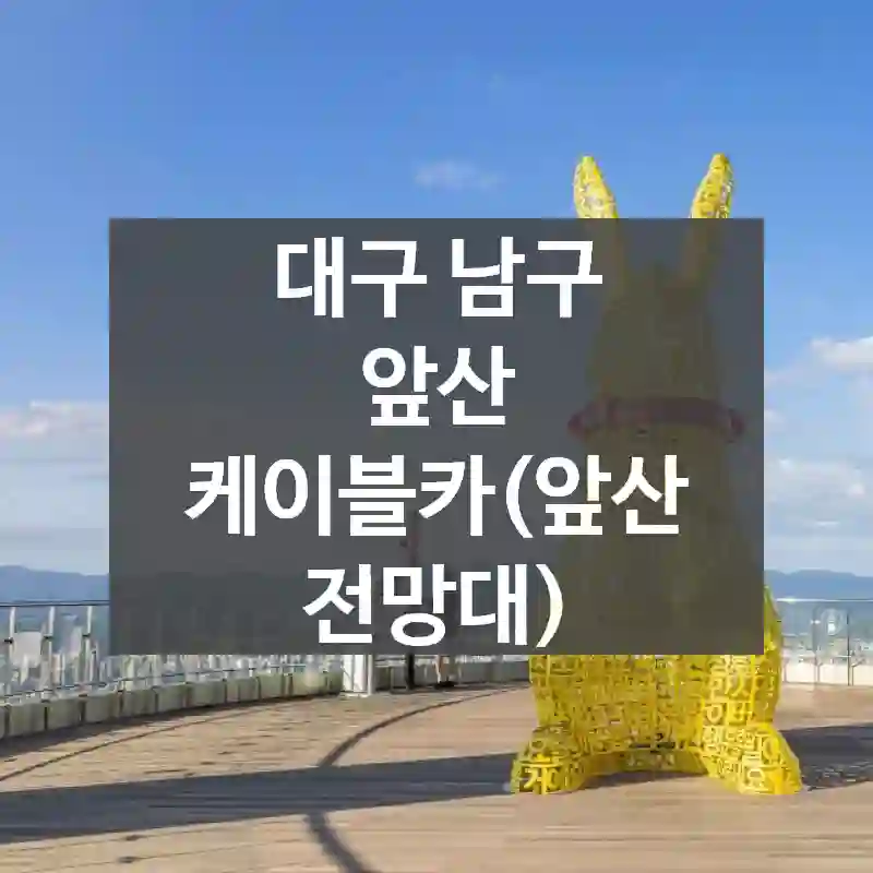 대구 남구
앞산 케이블카(앞산 전망대)