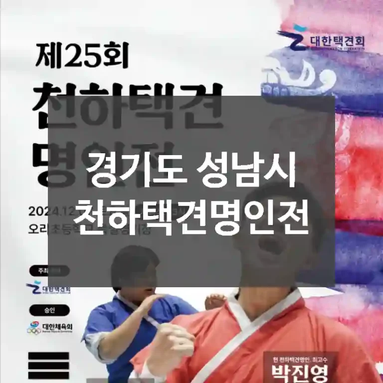 경기도 성남시
천하택견명인전