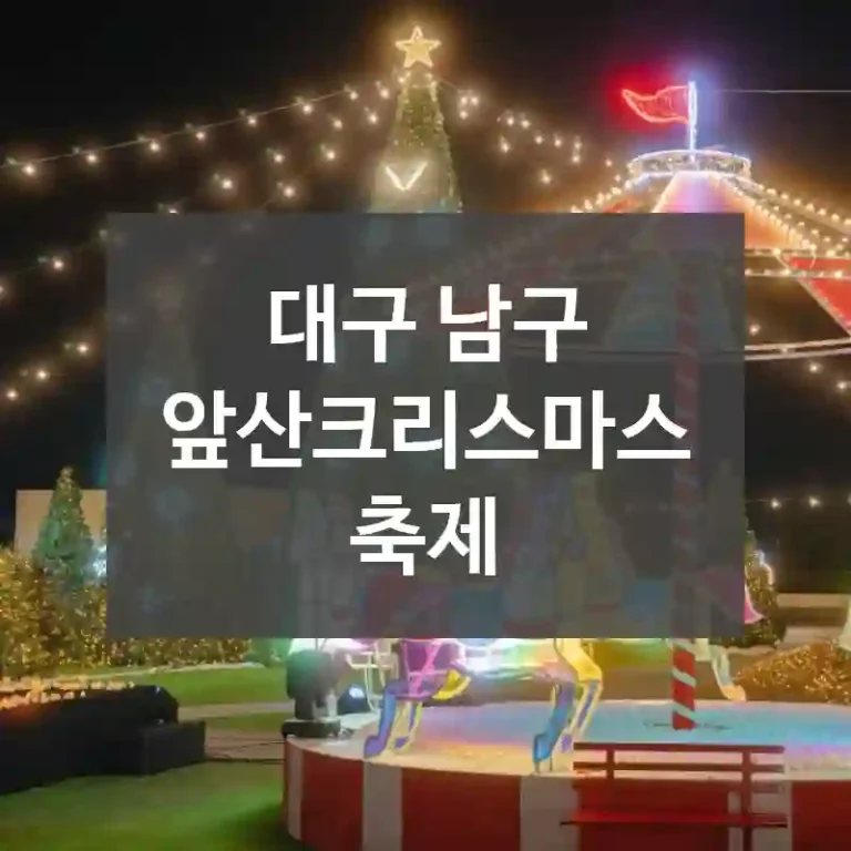 대구 남구
앞산크리스마스축제