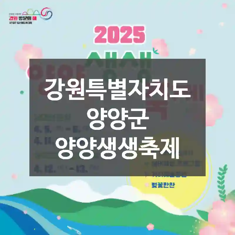 강원특별자치도 양양군
양양생생축제