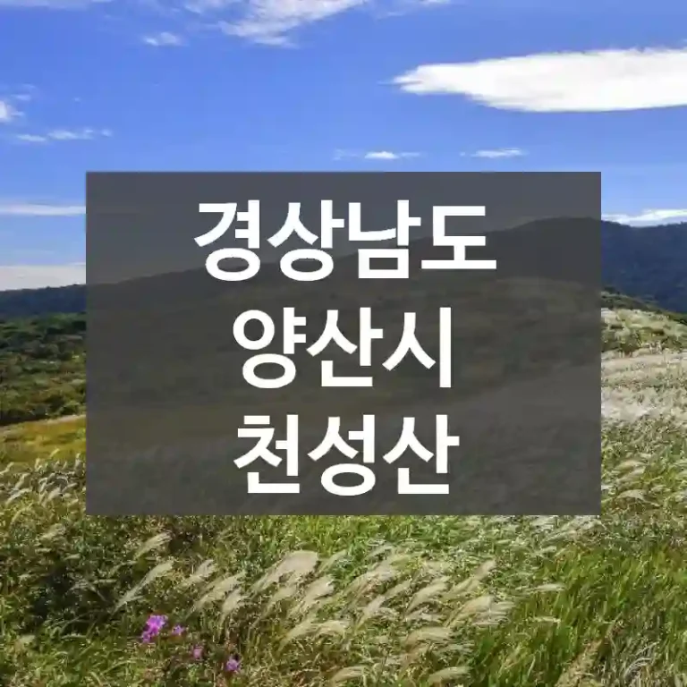 경상남도 양산시
천성산
