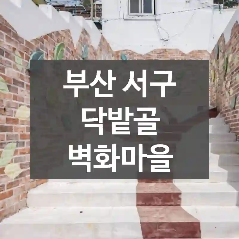 부산 서구
닥밭골 벽화마을