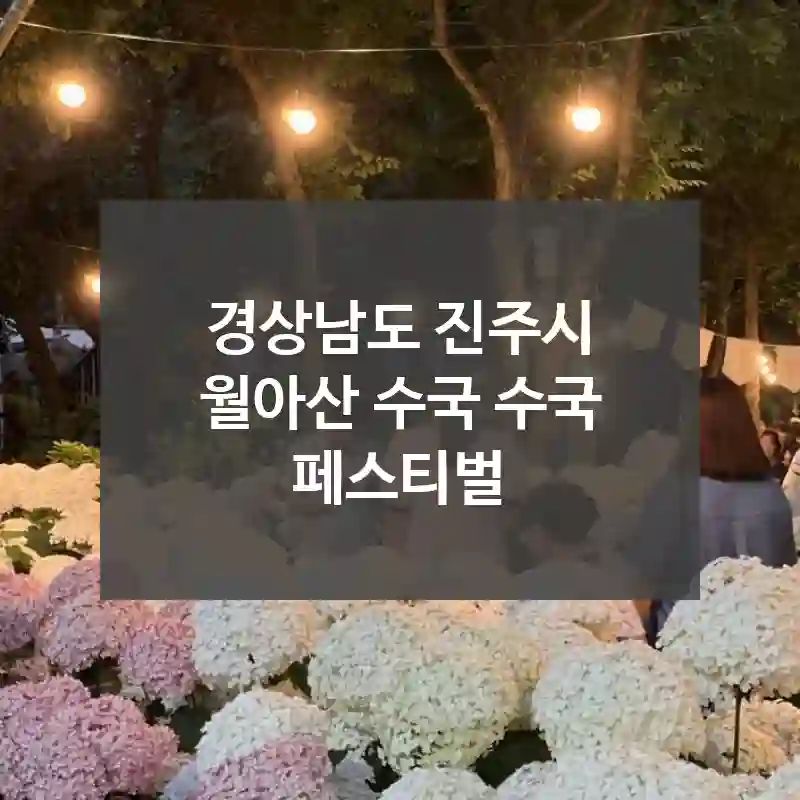 경상남도 진주시
월아산 수국 수국 페스티벌