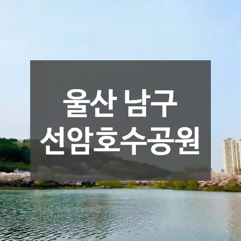 울산 남구
선암호수공원
