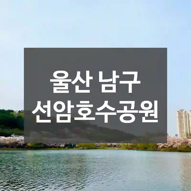 울산 남구
선암호수공원