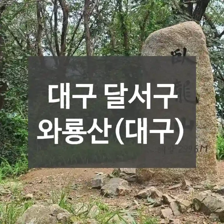 대구 달서구
와룡산(대구)