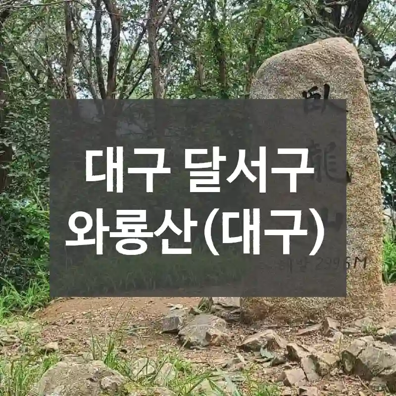 대구 달서구
와룡산(대구)