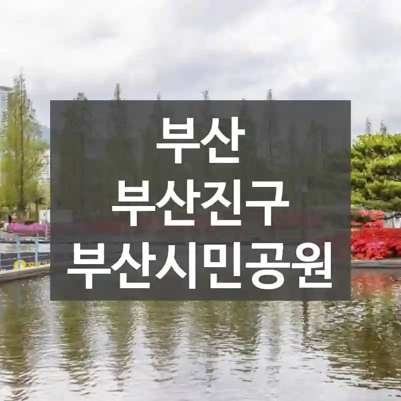 부산 부산진구
부산시민공원