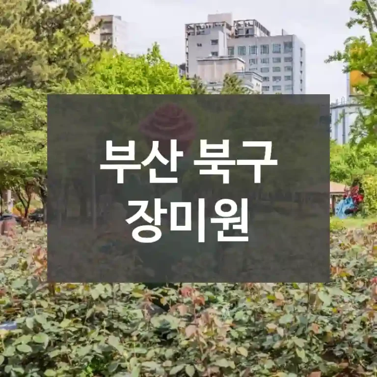 부산 북구
장미원
