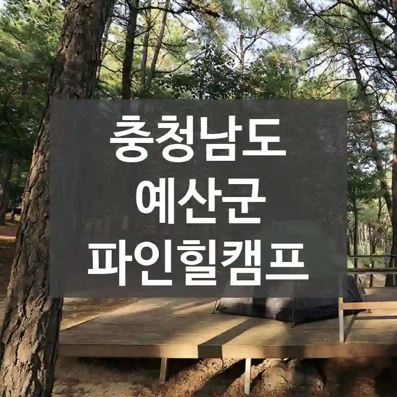 충청남도 예산군
파인힐캠프
