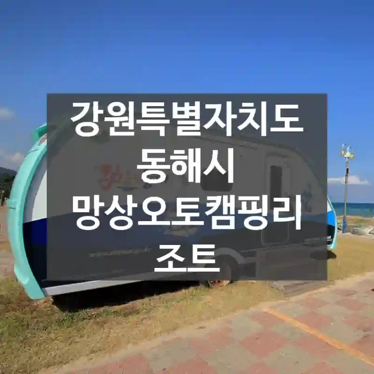 강원특별자치도 동해시
망상오토캠핑리조트