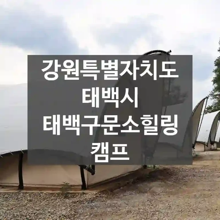 강원특별자치도 태백시
태백구문소힐링캠프